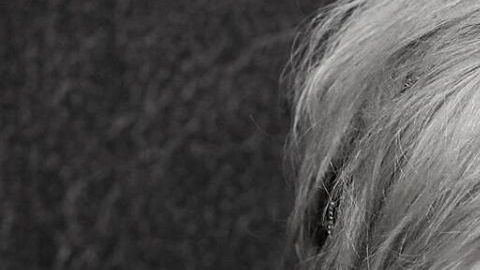 El forense del condado de Los Ángeles dictamina que la muerte de Anne Heche fue un accidente.