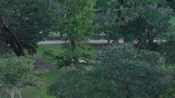 Jennifer López y Ben Affleck celebraron su segunda boda en Georgia.