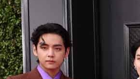 BTS podría continuar activo