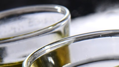 Botella de tequila y chupitos