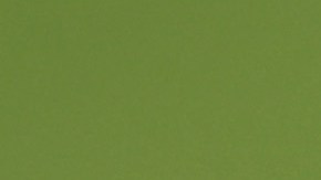 Carlo Ancelotti reveló el nombre del sustituto del Casemiro