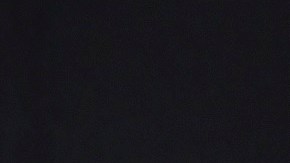 Los Angeles Football Club Introduce Giorgio Chiellini