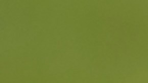 La NFL aprueba compra récord de los Denver Broncos