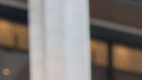 Miles de neoyorquinos se visten de blanco para compartir en la multitudinaria fiesta.
/ Cortesía Eric Vitale Photography