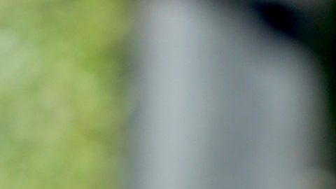La expareja de Miguel Bosé, Nacho Palau, anuncia que padece cáncer de pulmón.