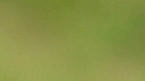 Fernando Alonson recibió un mensaje especial de su pareja por firmar con Aston Martin