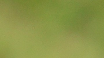 Fernando Alonson recibió un mensaje especial de su pareja por firmar con Aston Martin