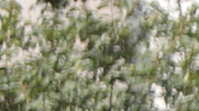 Shooter Opens Fire In Downtown Cincinnati, Four Dead Including The Gunman