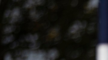 Al menos 5 millones de nuevos ciudadanos podrán votar en noviembre.