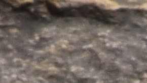 Huellas dinosaurio