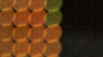 Mike Tyson se caracterizó por excentricidades a lo largo de su carrera.