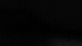 Gerard Piqué y Shakira