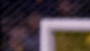 Según informes locales el perro hace vida en el estadio Prof. Luis Alfonso Giagni​ de Villa Elisa, en Paraguay.