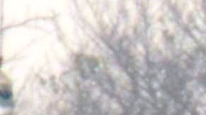 MEXICO-CRIME-VIOLENCE-SHOOT-OUT