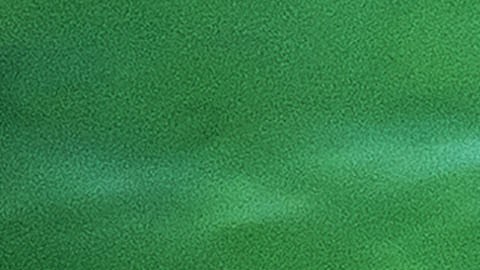 En las imágenes se puede ver al gran tiburón blanco acercándose al bote.