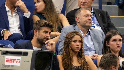 La cantante Shakira estaría recibiendo ayuda de un especialista para enfrentar la situación.