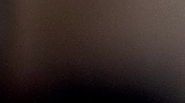 PUERTORICO-COCKFIGHTING