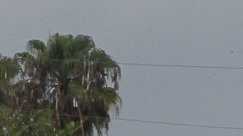 Tiroteo Miami-Dade