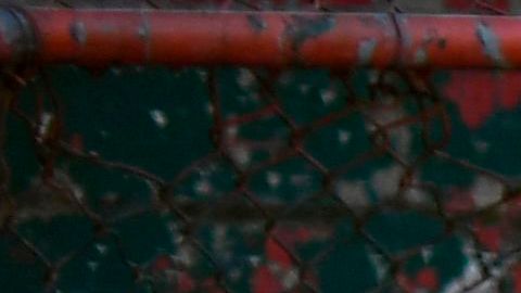 Beisbol venezolano