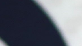 Jennifer Flavin solicitó el divorcio de la estrella de "Rocky", Sylvester Stallone.