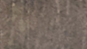 Trabajan en la escena del accidente de helicóptero que mató a la ex estrella de la NBA, Kobe Bryant.