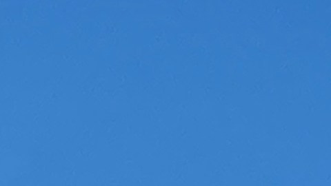El vuelo de Alaska Airlines se vio obligado a realizar un aterrizaje de emergencia.