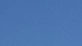 Ballena muerta en playa de San Francisco/Archivo.