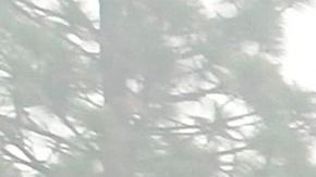 El incendio inició en una zona de senderismo en las colinas al sur de Salt Lake City.