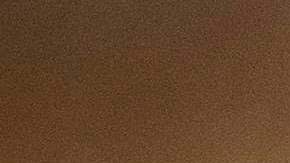 El caso de Francia ocurrió en un hogar donde dos hombres viven con su galgo italiano macho.