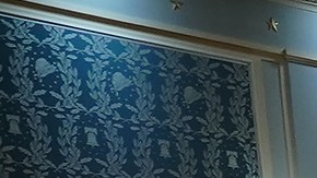 Senado Cambio climático Inflación