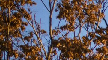 Albuquerque Nuevo México Asesinatos