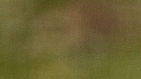 El tenista suizo sorprendió al niño de una manera memorable.