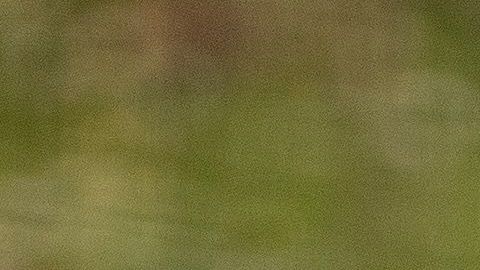El tenista suizo sorprendió al niño de una manera memorable.