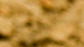 El "Thalassotitan atrox" era un mosasaurio, que básicamente eran lagartos marinos gigantes.