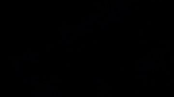 El ataque de cocodrilo se registró en el estado occidental de Gujarat.