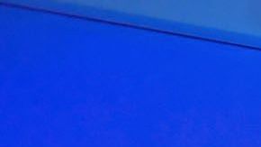 Los vuelos deben realizarse entre el 6 de septiembre y el 15 de febrero.