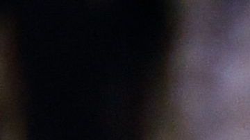 Mike Tyson confesó lo que hizo con todo su dinero.