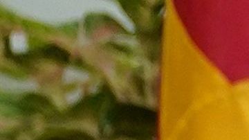 TOPSHOT-US-CHINA-DIPLOMACY