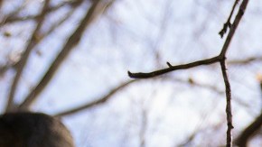 Activistas han defendido la protección de inmigrantes indocumentados.