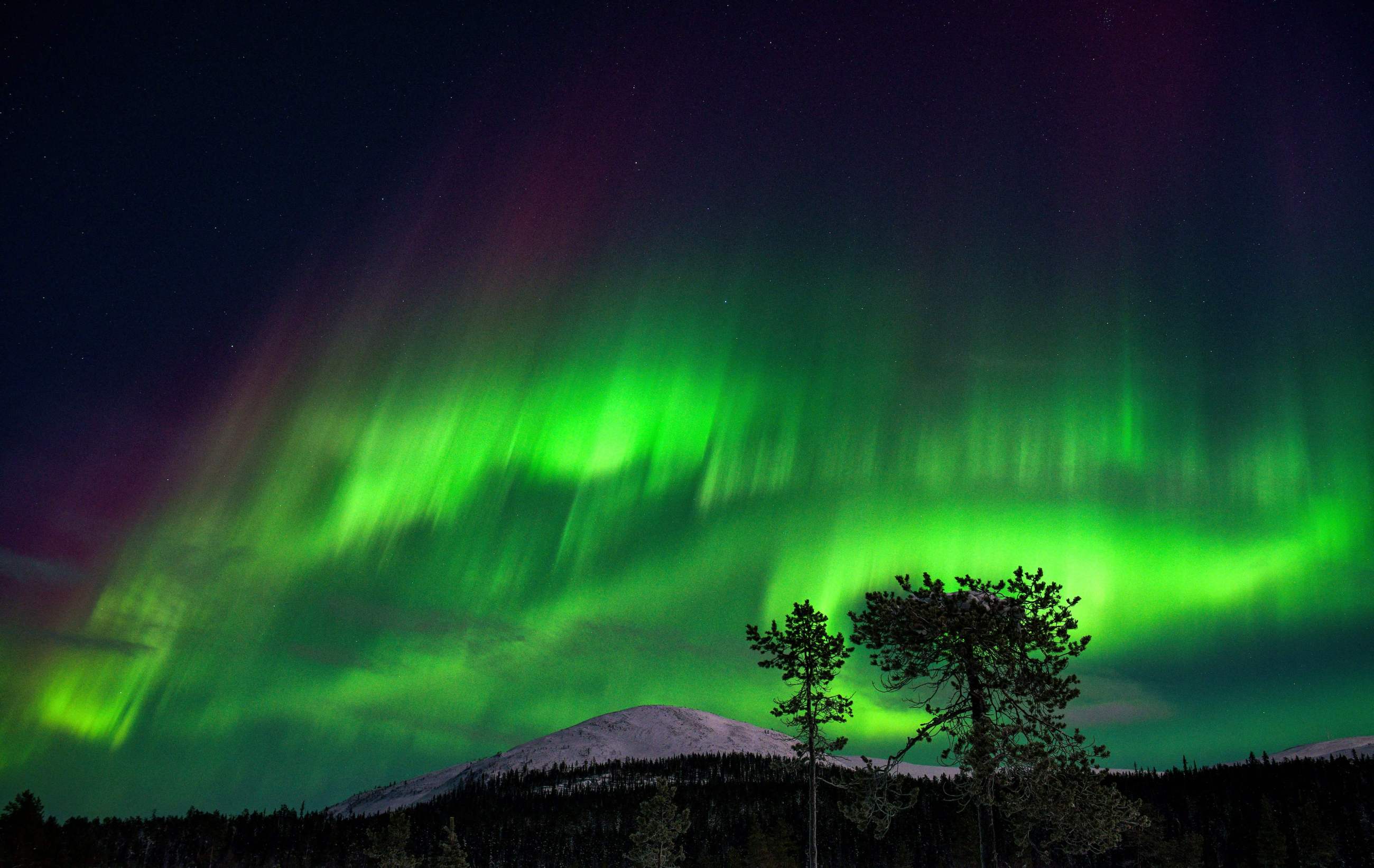 Aurora Boreal poderá ser observada em algumas regiões dos EUA- STR