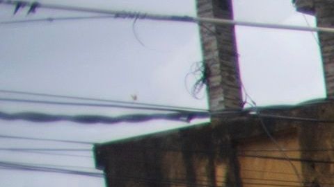 Drogas Rio de Janeiro Brasil