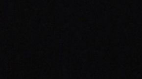 Lady Gaga: dan cuatro años de prisión para el secuestrador de sus perros