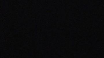 Lady Gaga: dan cuatro años de prisión para el secuestrador de sus perros