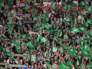Los fanáticos del Betis han generado furor con el nuevo cántico.