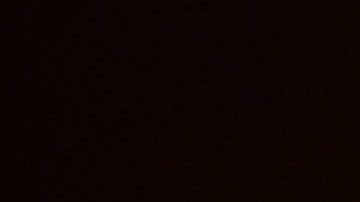 Georgia Lindsay Graham Donald Trump