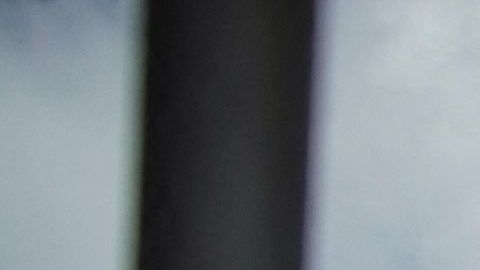 DOMINICAN REP-ENVIRONMENT-JORGE MERA-SHOOTING