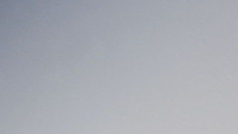 Patrulla Fronteriza
