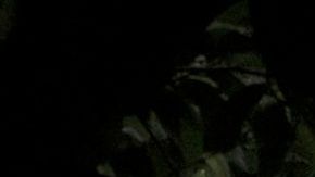 MEXICO-US-MIGRATION-CARAVAN