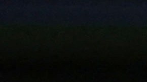 Djokovic se ha negado a vacunarse contra la enfermedad a pesar de que la decisión le ha impedido disputar varios torneos.