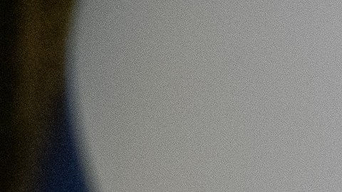 Dutch PM Visits Kyiv